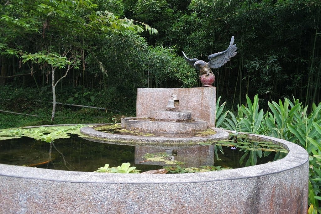 【南投景點】鹿谷鄉,國立自然科學博物館,鳳凰谷鳥園生態園區,親子旅遊推薦,森林長坡溜滑梯,吊橋