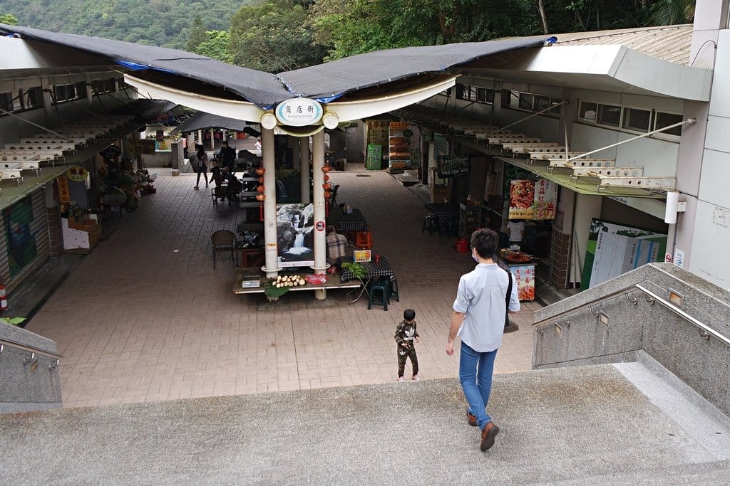 【南投景點】鹿谷鄉,國立自然科學博物館,鳳凰谷鳥園生態園區,親子旅遊推薦,森林長坡溜滑梯,吊橋