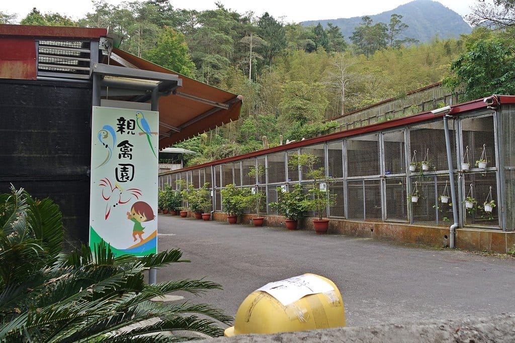 【南投景點】鹿谷鄉,國立自然科學博物館,鳳凰谷鳥園生態園區,親子旅遊推薦,森林長坡溜滑梯,吊橋