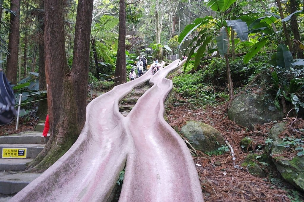 【南投景點】鹿谷鄉,國立自然科學博物館,鳳凰谷鳥園生態園區,親子旅遊推薦,森林長坡溜滑梯,吊橋