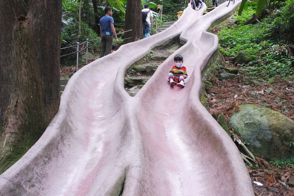 【南投景點】鹿谷鄉,國立自然科學博物館,鳳凰谷鳥園生態園區,親子旅遊推薦,森林長坡溜滑梯,吊橋