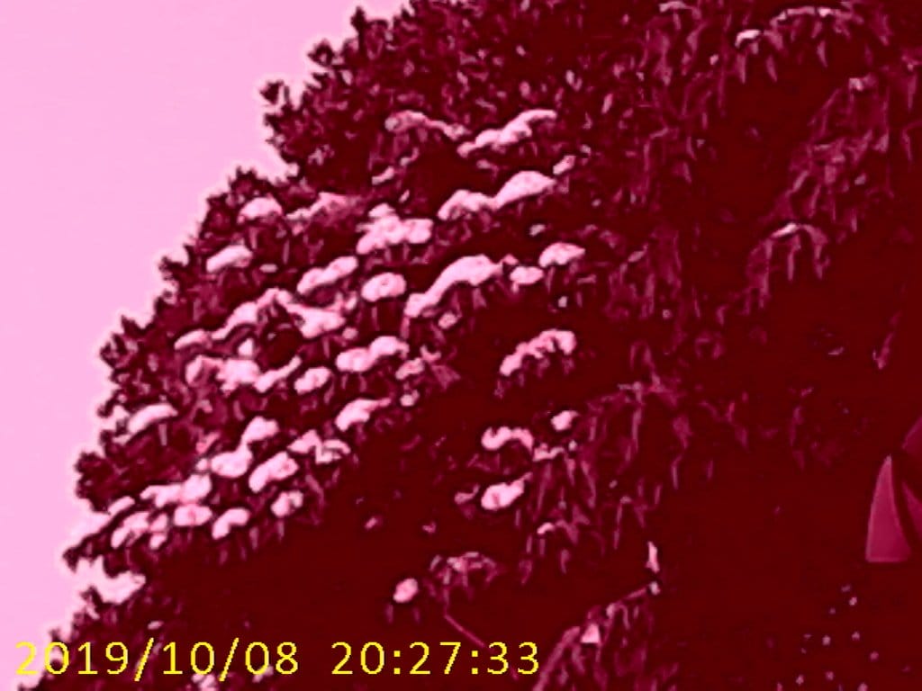 【育兒分享】超級Q的UT兒童相機,2000萬畫素,機身輕盈隨身攜帶好方便,可錄影、自拍、玩遊戲