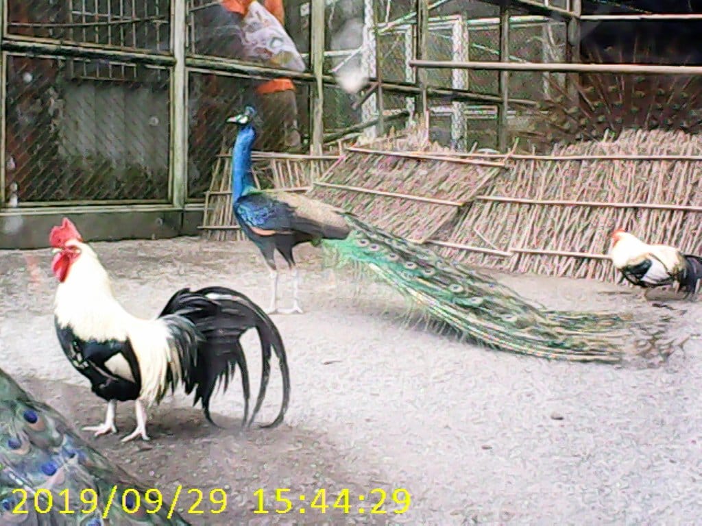 【育兒分享】超級Q的UT兒童相機,2000萬畫素,機身輕盈隨身攜帶好方便,可錄影、自拍、玩遊戲