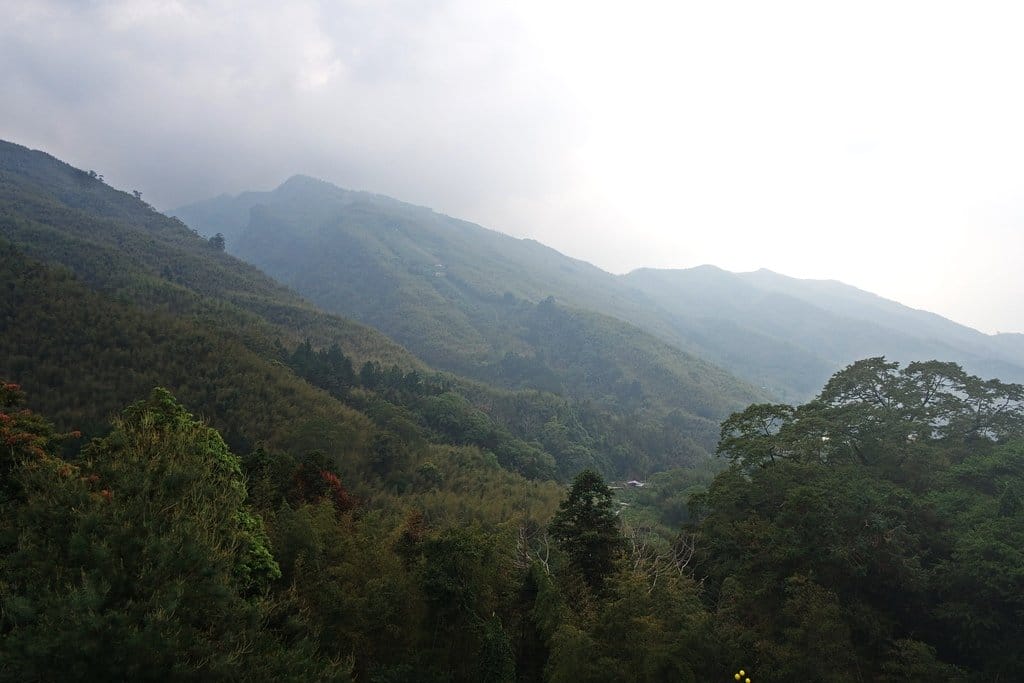 【住宿分享】2020南投鹿谷三生緣區賞螢行程推薦,溪頭金台灣山莊,超美山景清幽靜謐,一泊二食活魚兩吃