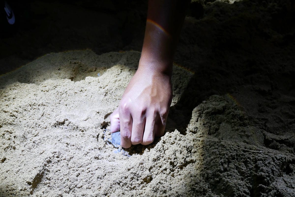 P1000698.JPG P1000698.JPG