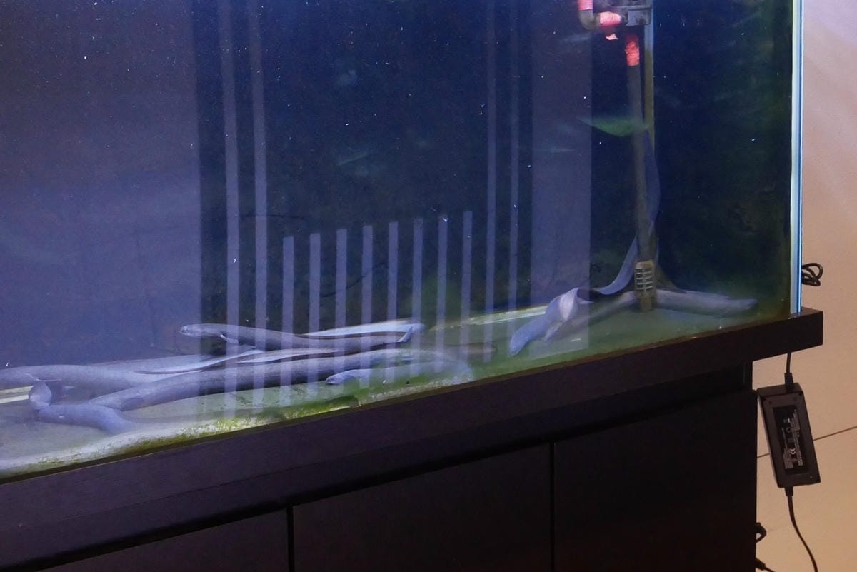 P1210135.JPG P1210135.JPG