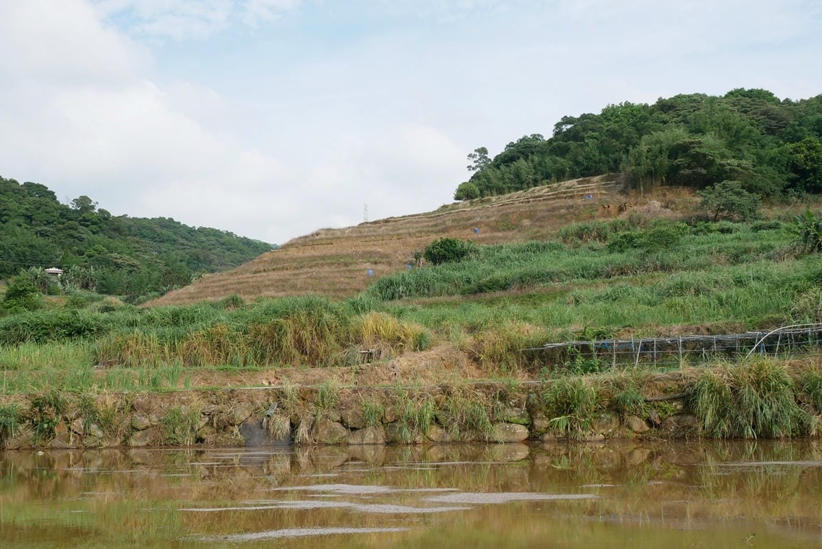 P1340237.JPG P1340237.JPG