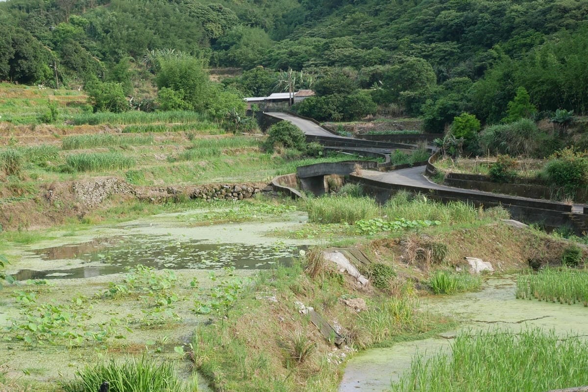 P1340263.JPG P1340263.JPG