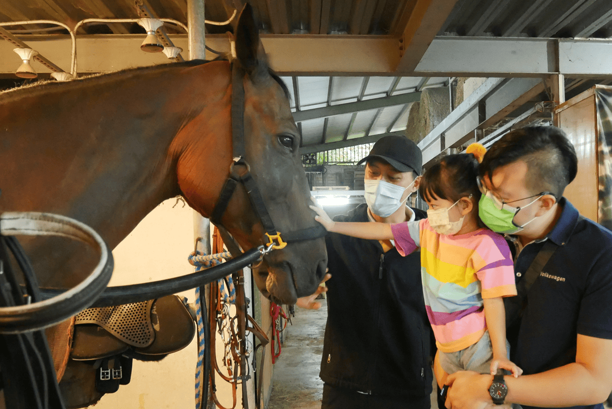 P1450754_副本.png P1450754_副本.png