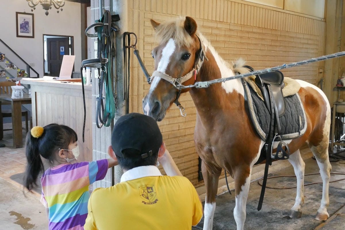 P1460156.JPG P1460156.JPG