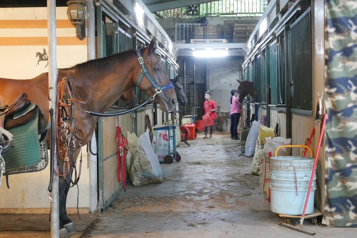 P1460147.JPG P1460147.JPG