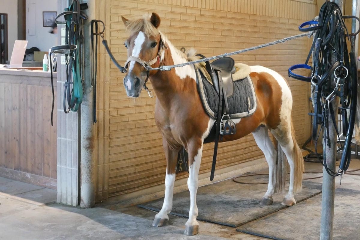 P1460155.JPG P1460155.JPG