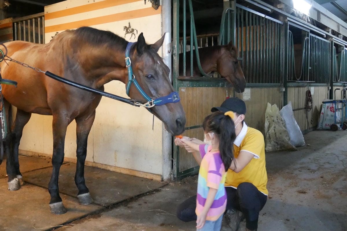 P1460166.JPG P1460166.JPG