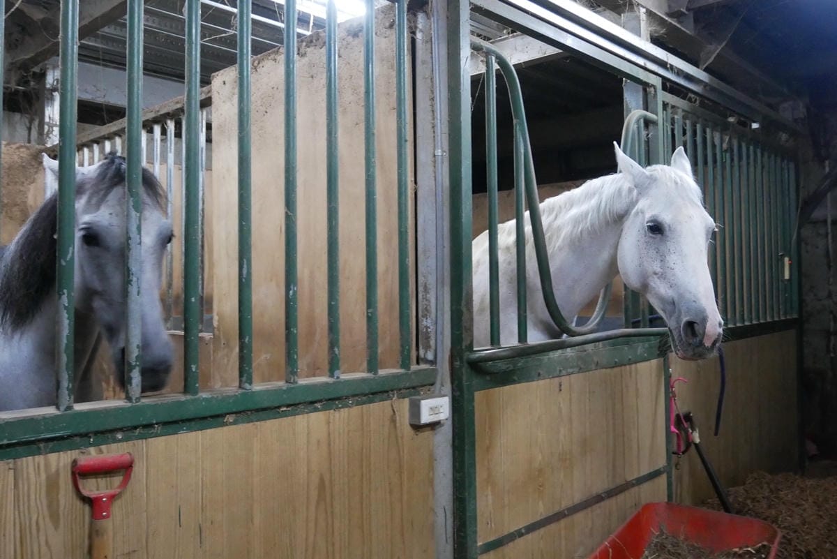 P1450828.JPG P1450828.JPG