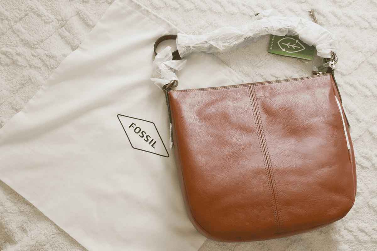 P1700386.png P1700386.png