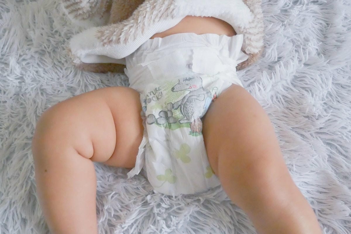 P1830739.JPG P1830739.JPG