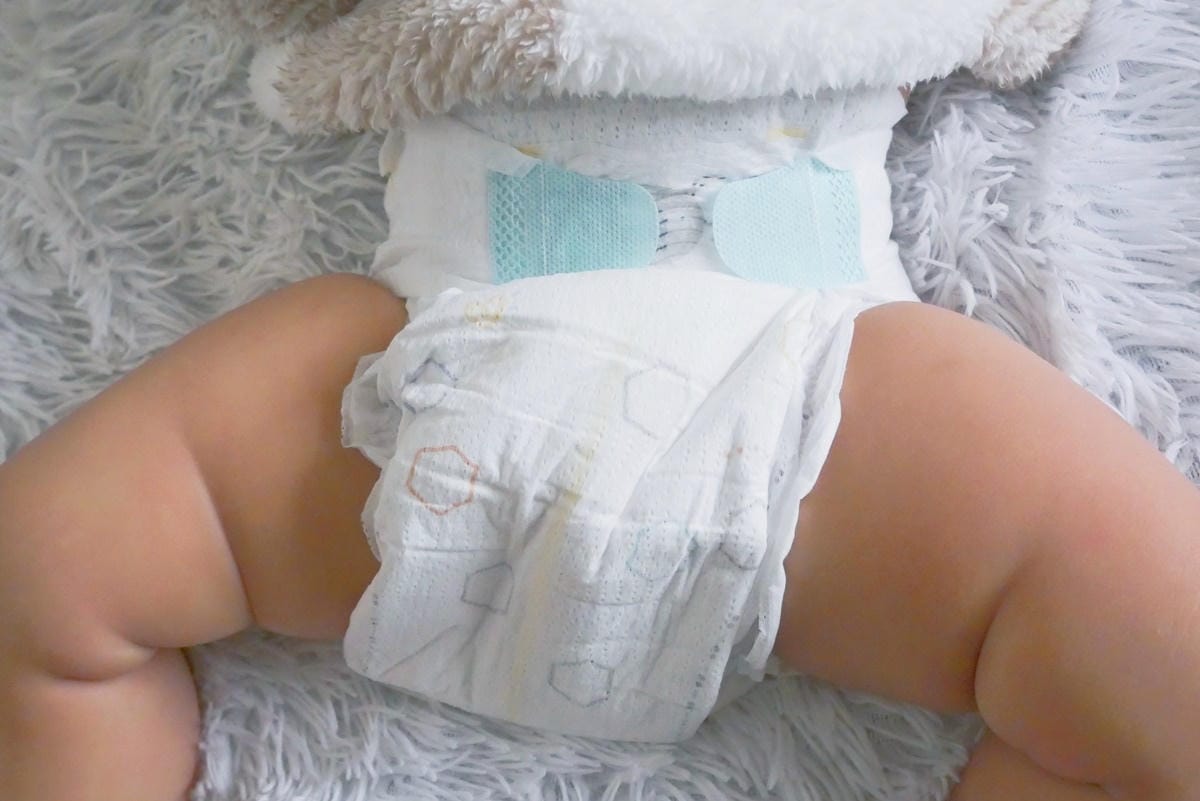 P1830747.JPG P1830747.JPG