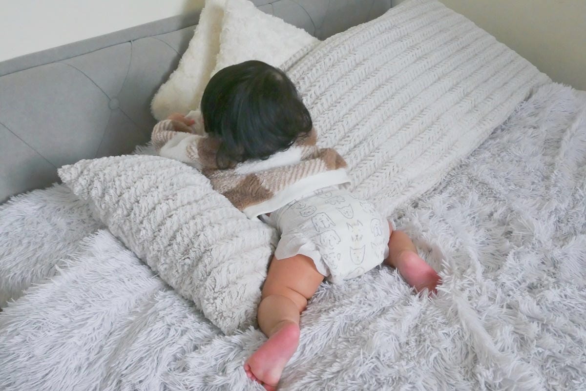 P1830781.JPG P1830781.JPG