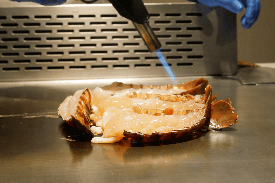 P1690703.png P1690703.png