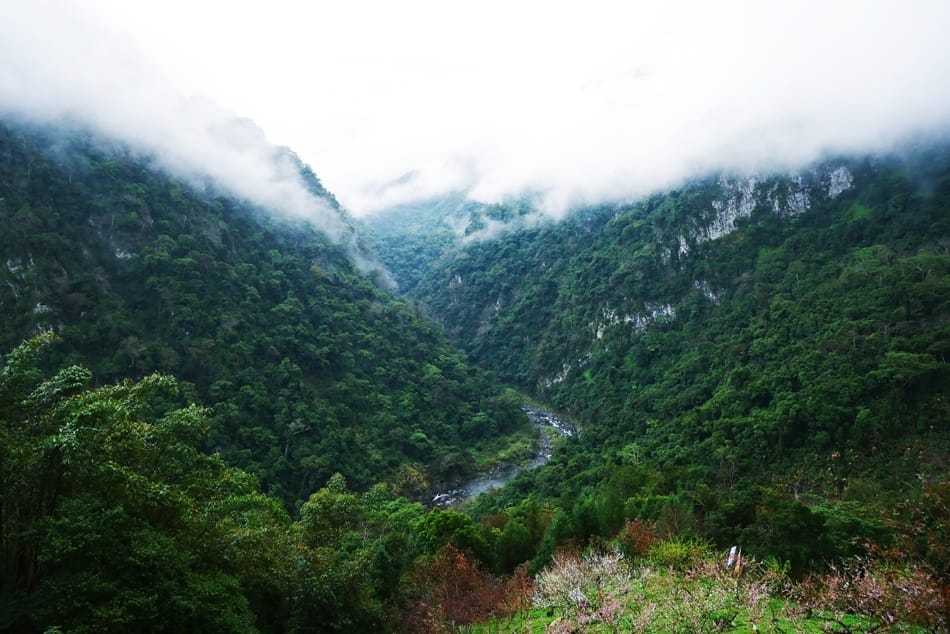 P1810992.JPG P1810992.JPG