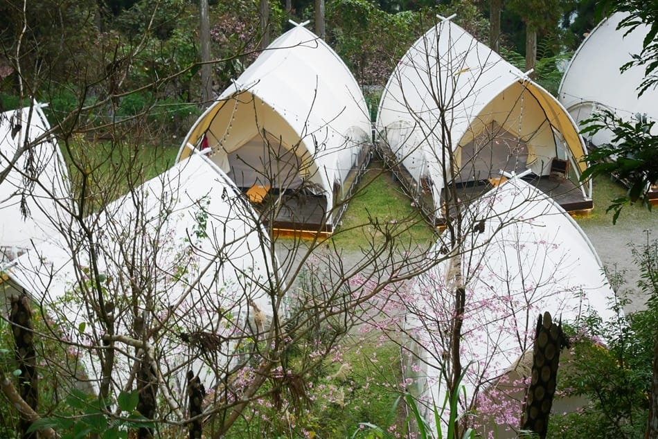 P1810846.JPG P1810846.JPG