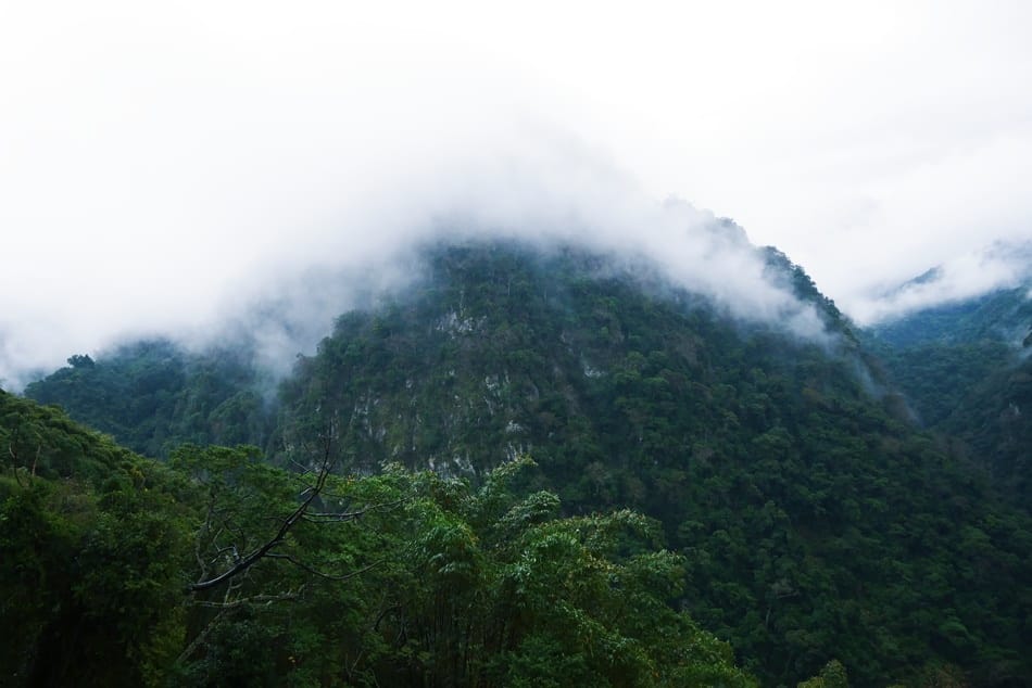 P1810990.JPG P1810990.JPG