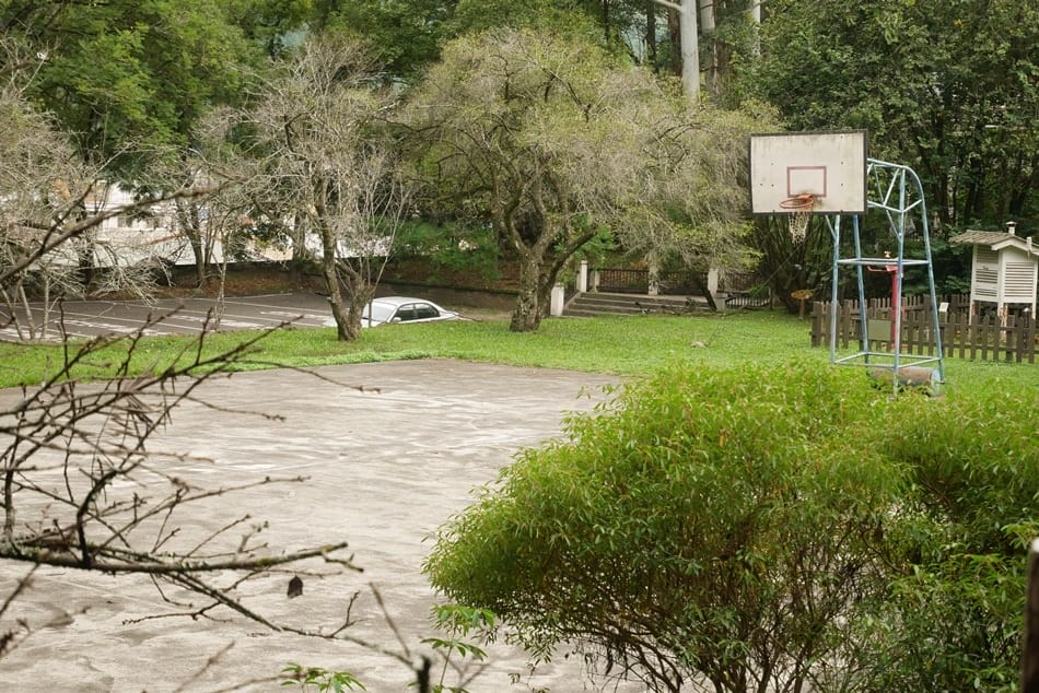 蟬說:和社山林 蟬說:和社山林
