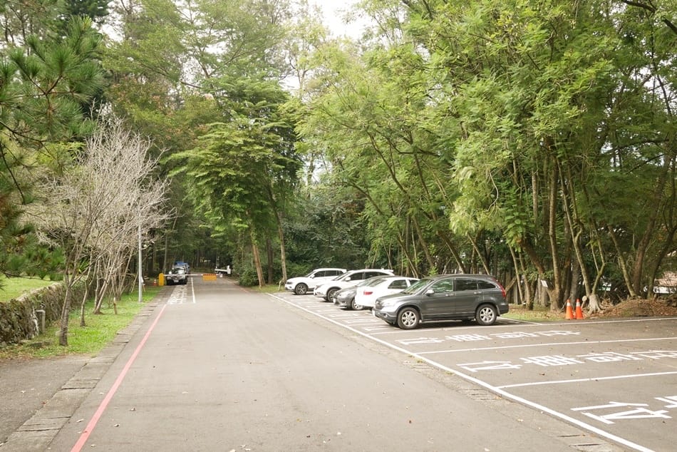 蟬說:和社山林 蟬說:和社山林