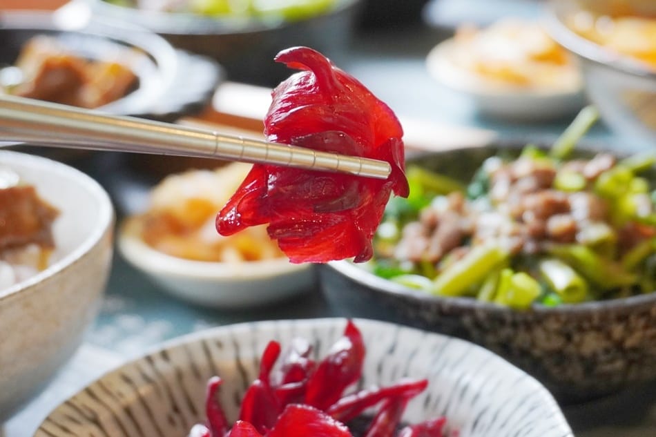 【田寮農莊】台中南屯,寵物友善,景觀餐廳,落羽松秘境 【田寮農莊】台中南屯,寵物友善,景觀餐廳,落羽松秘境