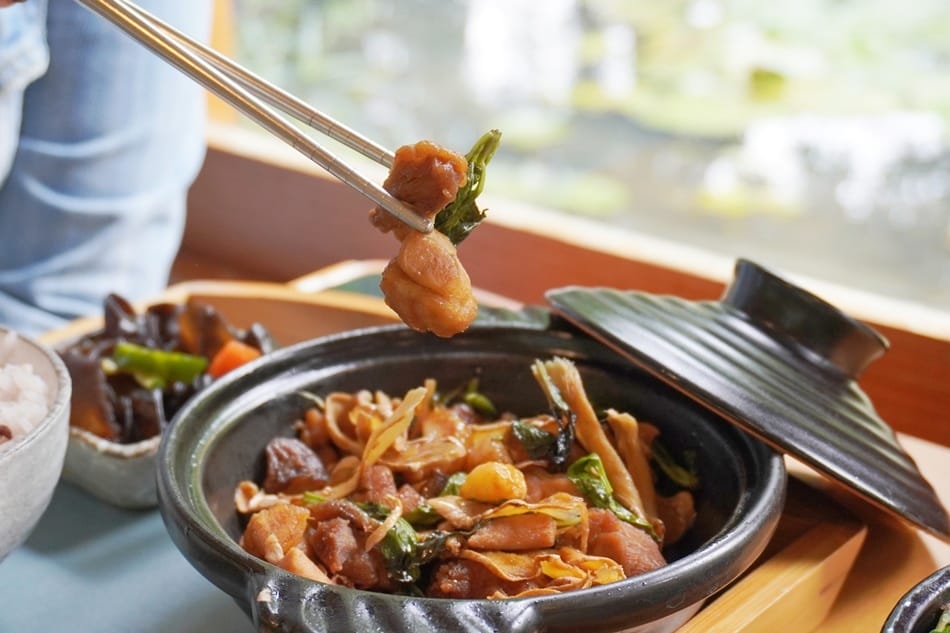 【田寮農莊】台中南屯,寵物友善,景觀餐廳,落羽松秘境 【田寮農莊】台中南屯,寵物友善,景觀餐廳,落羽松秘境