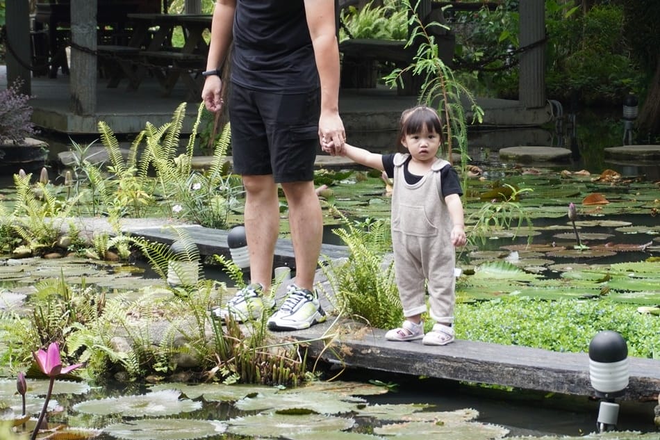 【田寮農莊】台中南屯,寵物友善,景觀餐廳,落羽松秘境 【田寮農莊】台中南屯,寵物友善,景觀餐廳,落羽松秘境