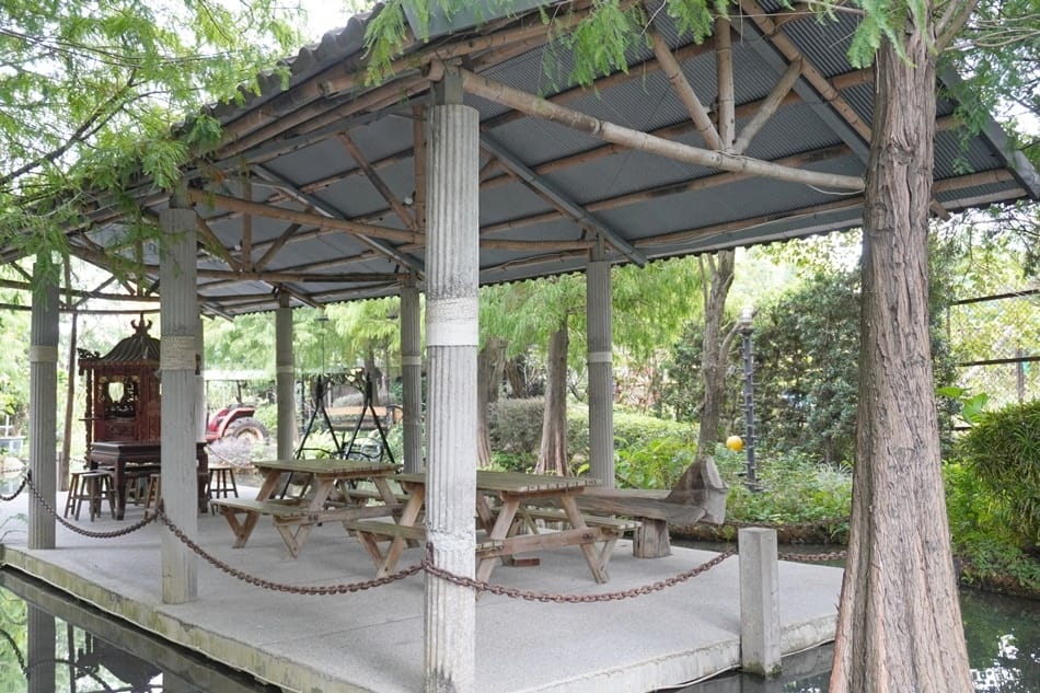 【田寮農莊】台中南屯,寵物友善,景觀餐廳,落羽松秘境 【田寮農莊】台中南屯,寵物友善,景觀餐廳,落羽松秘境