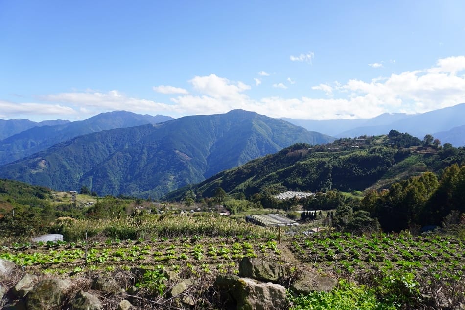 【蟬說：霧語】全新豪華露營區住宿,新竹五峰鄉白蘭部落,夢幻豪