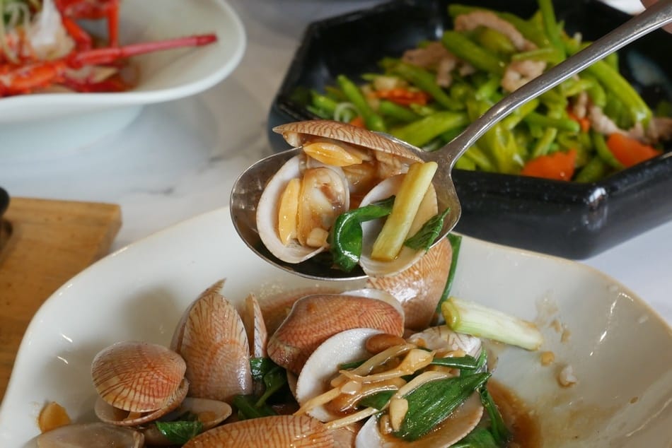 P1930954.JPG P1930954.JPG