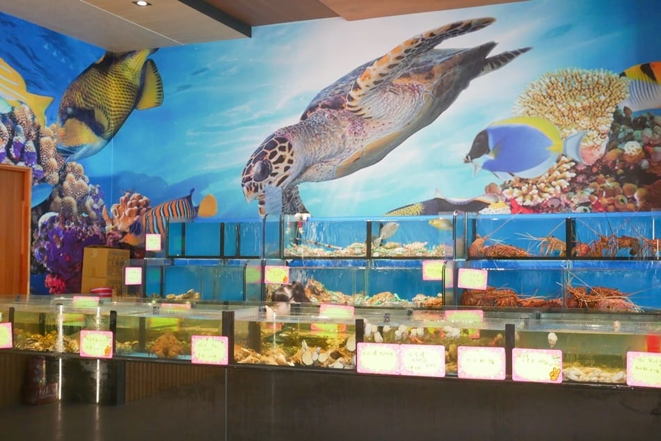 P1930864.JPG P1930864.JPG