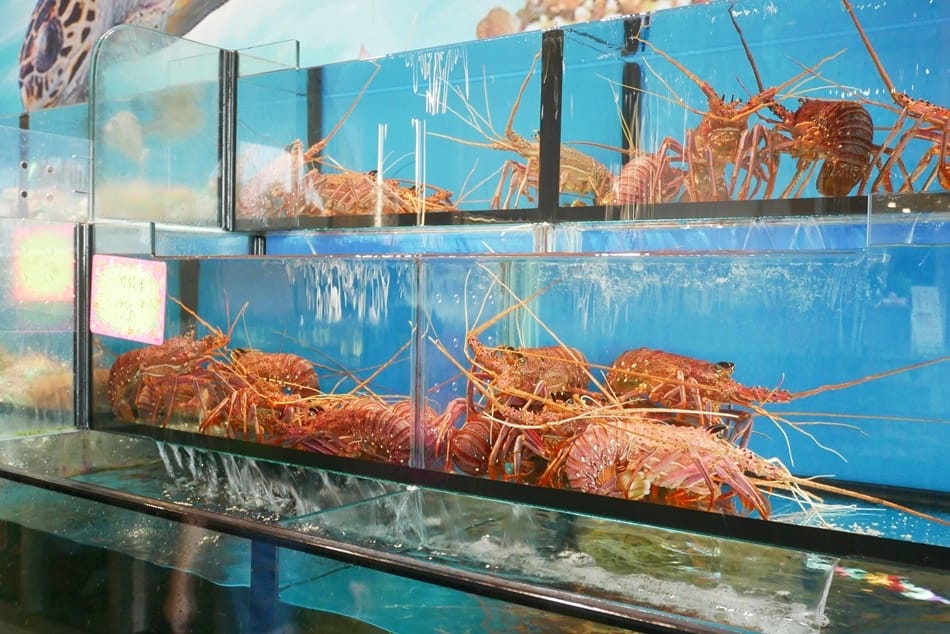 P1930867.JPG P1930867.JPG