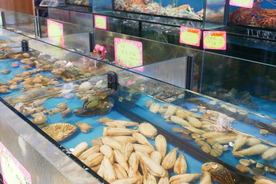 P1930865.JPG P1930865.JPG