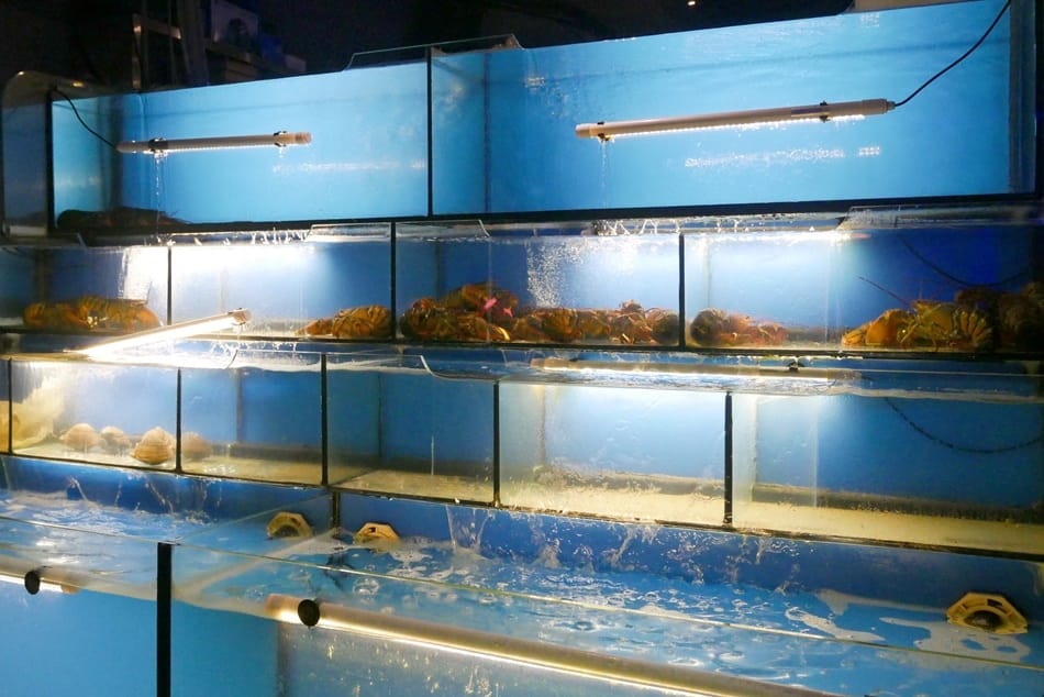 P1740491.JPG P1740491.JPG