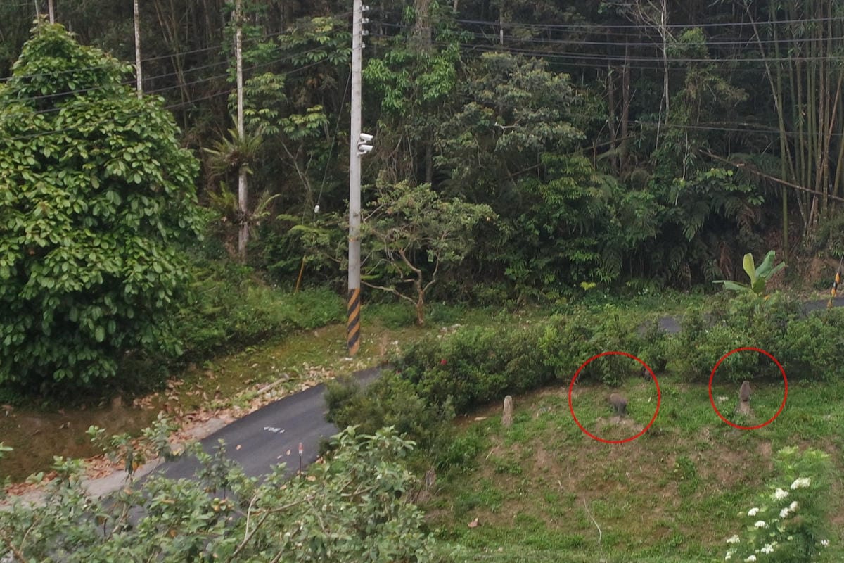 【住宿分享】南投日月潭民宿,賞螢火蟲推薦,八番私人住宅,遠離 【住宿分享】南投日月潭民宿,賞螢火蟲推薦,八番私人住宅,遠離