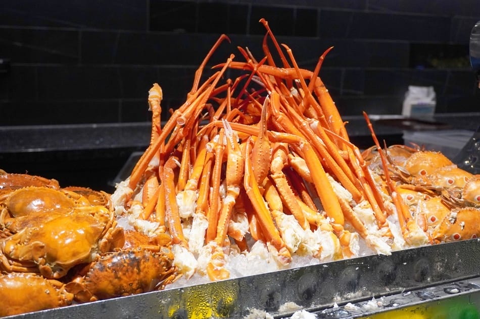 【台北漢來大飯店】無邊際泳池、三溫暖、健身房、戶外禮堂、大廳 【台北漢來大飯店】無邊際泳池、三溫暖、健身房、戶外禮堂、大廳