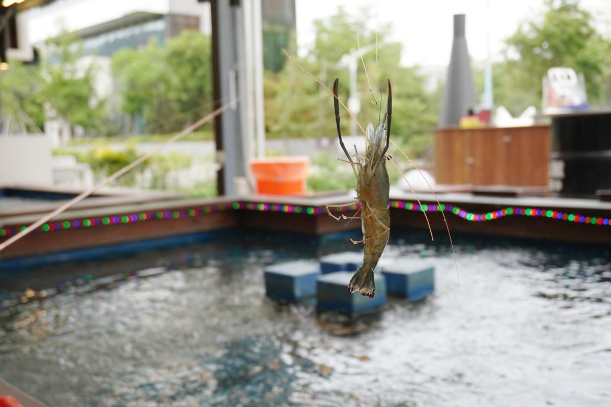 DSC04744.JPG DSC04744.JPG