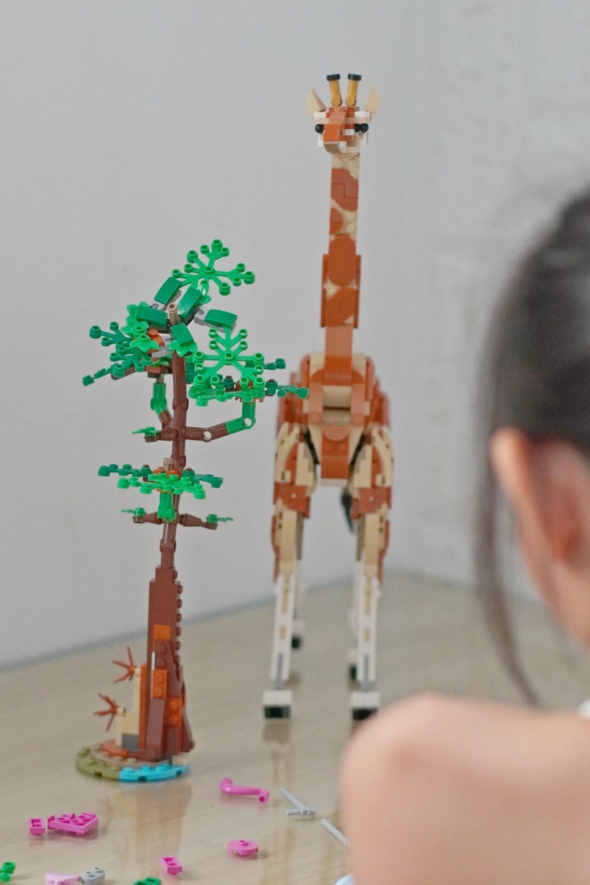 【BRICKPAPA】LEGO Wild Safari Animals 野生動物園動物 3 合 1 盒組,長頸鹿,獅子,瞪羚,樂高積木推薦