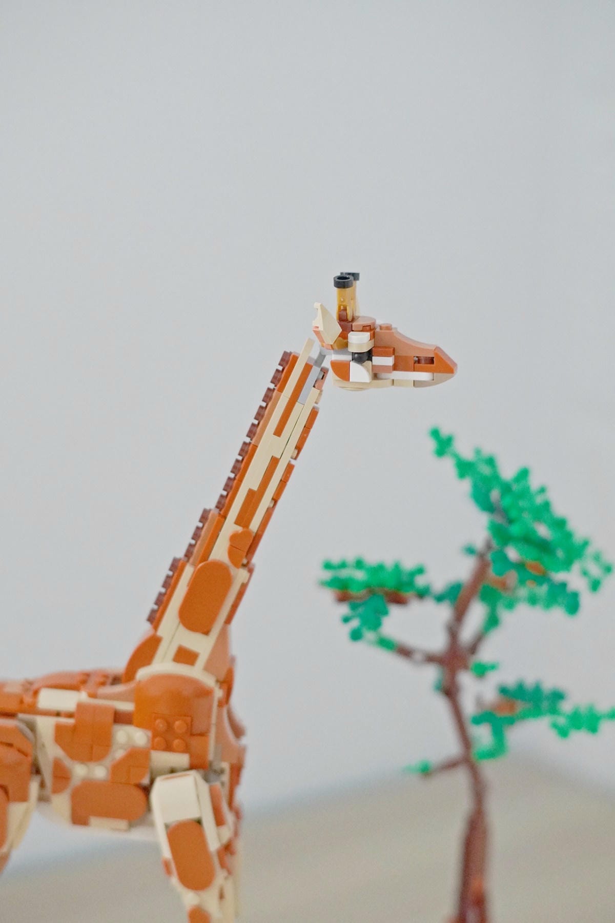 【BRICKPAPA】LEGO Wild Safari Animals 野生動物園動物 3 合 1 盒組,長頸鹿,獅子,瞪羚,樂高積木推薦