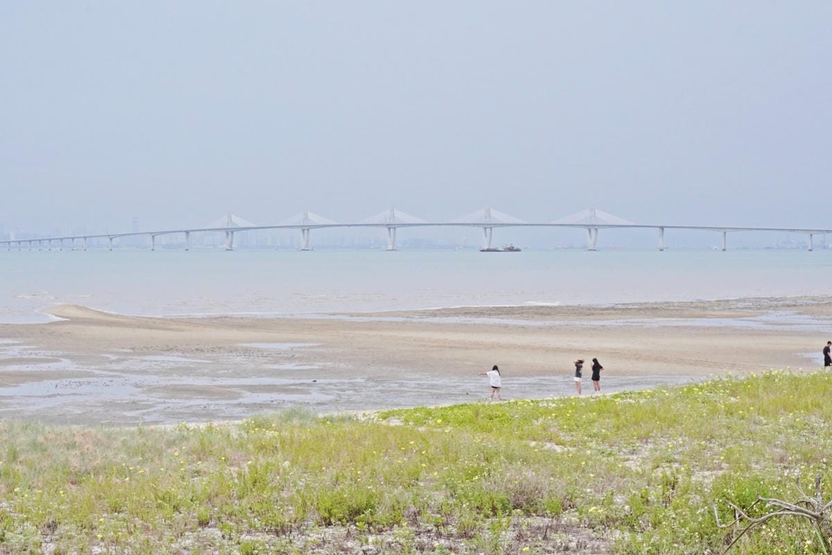 DSC07606.JPG DSC07606.JPG