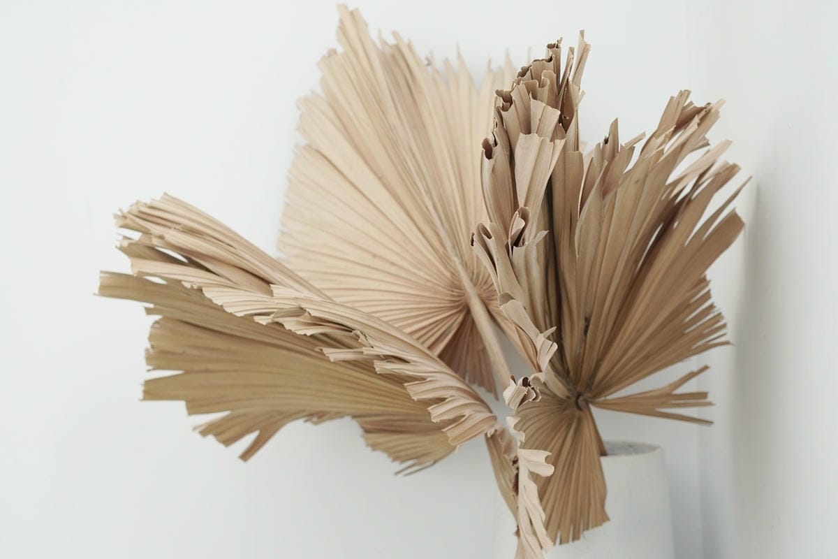 DSC07197.JPG DSC07197.JPG