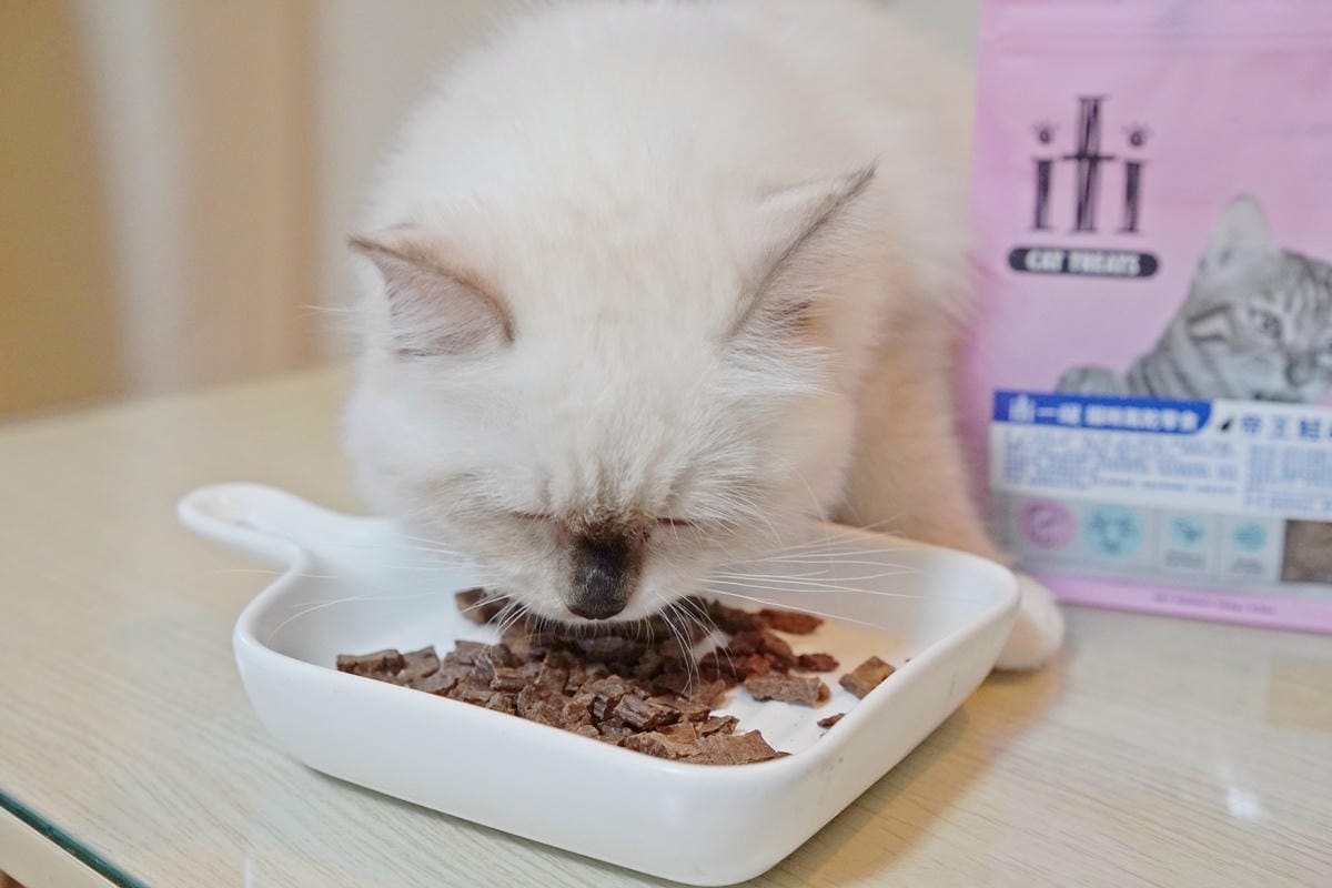 DSC01315.JPG DSC01315.JPG