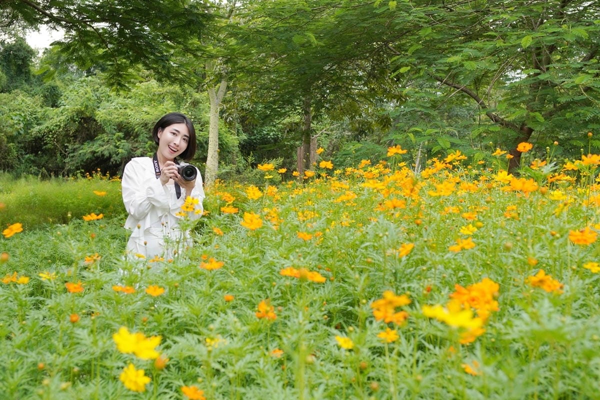 DSC01088.JPG DSC01088.JPG