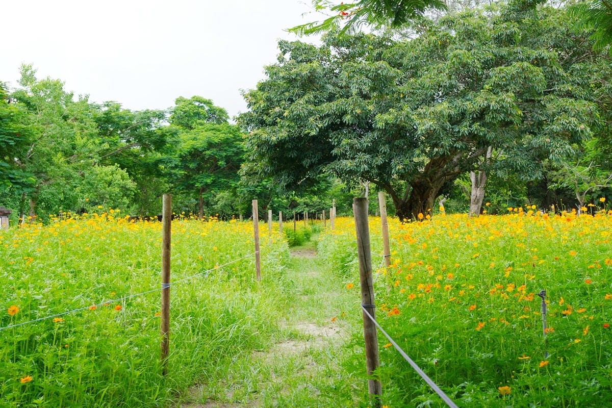 DSC01060.JPG DSC01060.JPG