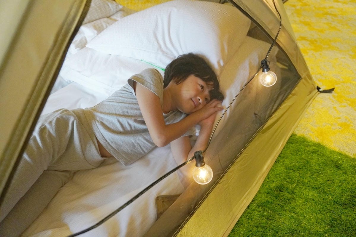 DSC08782.JPG DSC08782.JPG