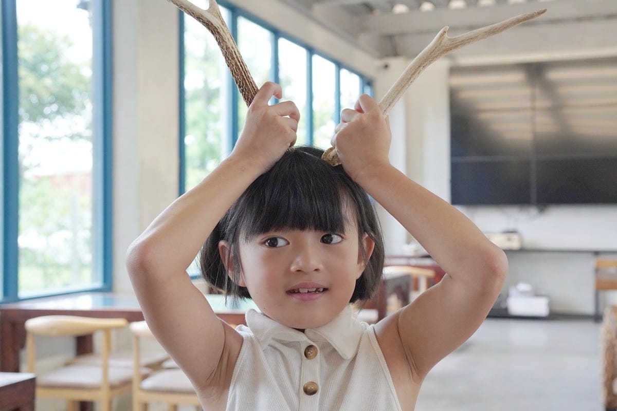 DSC03412.JPG DSC03412.JPG